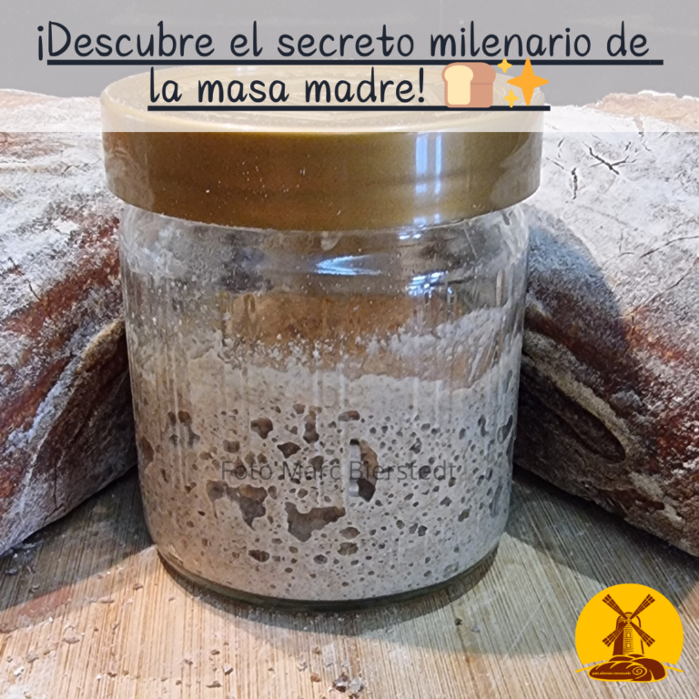 Masa madre tradicional en vaso